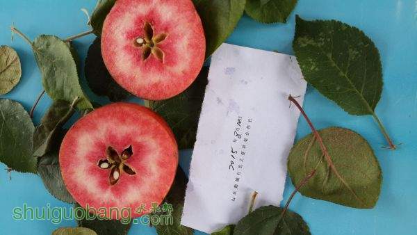 20150819_101440.jpg
