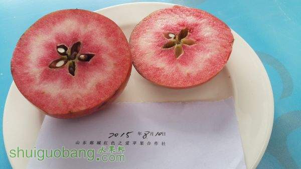 20150819_101300.jpg