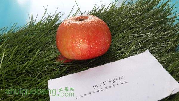 20150819_101052.jpg