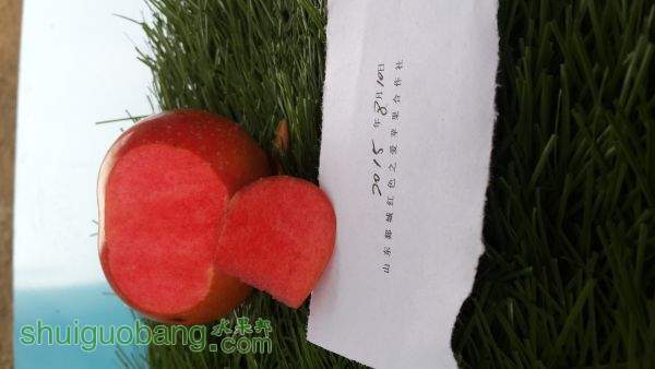 20150819_101005.jpg