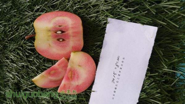 20150819_100056.jpg