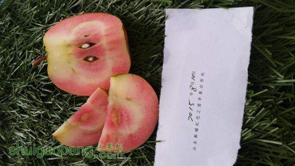 20150819_100052.jpg
