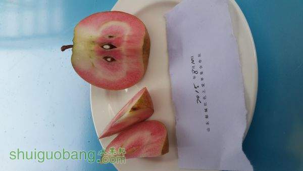 20150819_100019.jpg