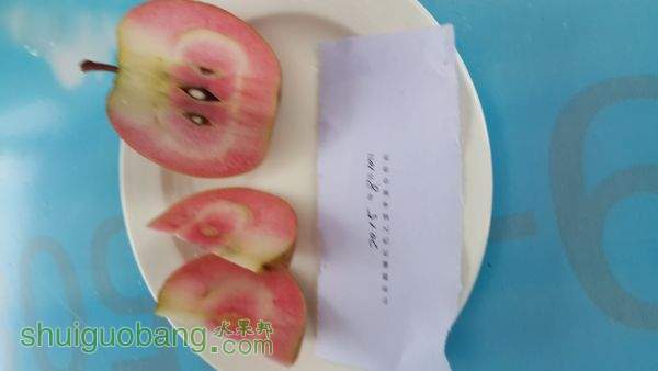 20150819_100006.jpg