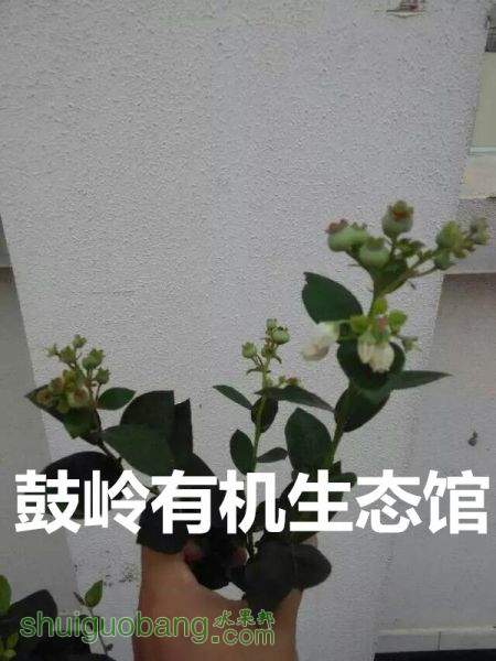mmexport1434529755114_副本.jpg