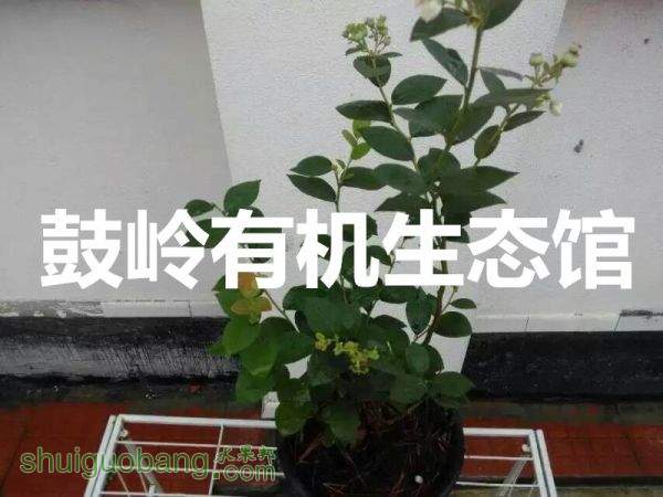 mmexport1434529757737_副本.jpg