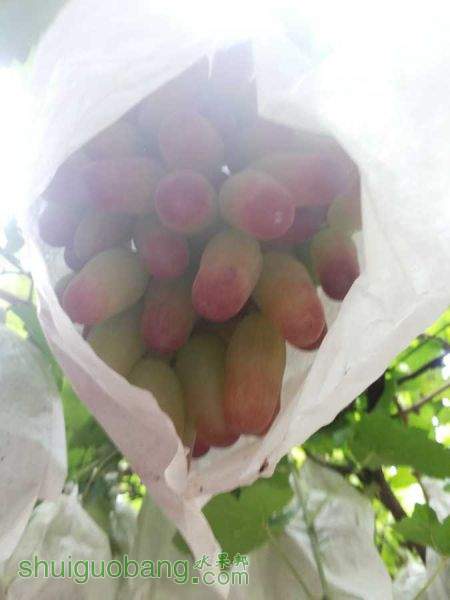 20150823_083846.jpg