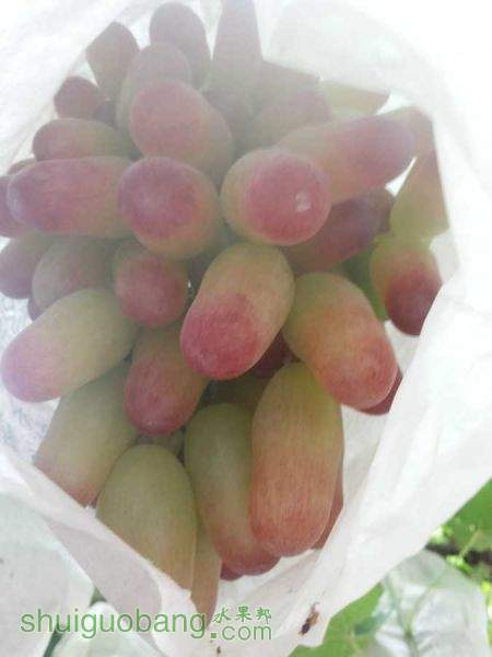 20150823_083852.jpg