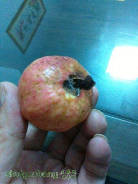 QQͼƬ20150823180810.jpg