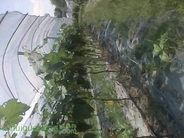IMG_20150823_135356_0.jpg