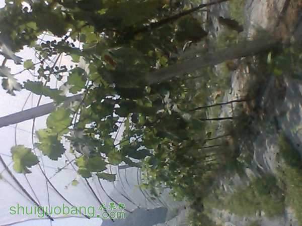 IMG_20150823_140314_0.jpg