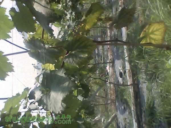 IMG_20150823_135405_0.jpg