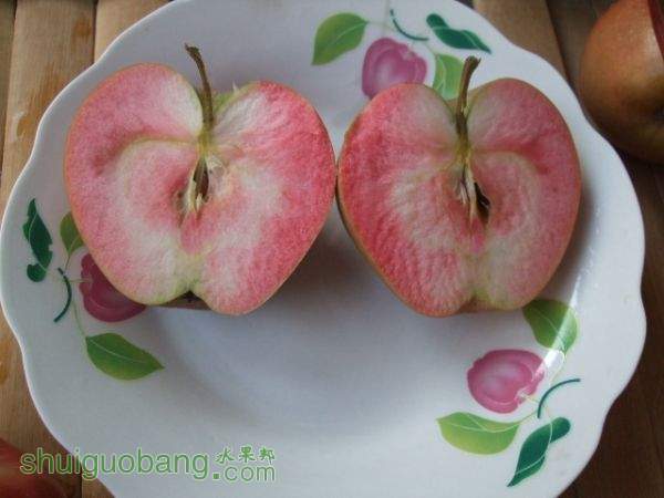 2015824պɫ֮ 004.jpg