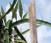 QQͼ20150825175814.png
