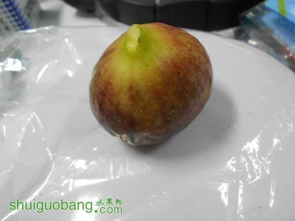 205823hqtjzjm1l2qs7p7m.jpg