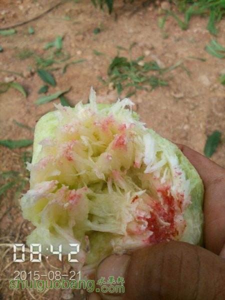 QQͼƬ20150828045418.jpg