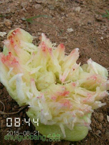 QQͼƬ20150828045423.jpg