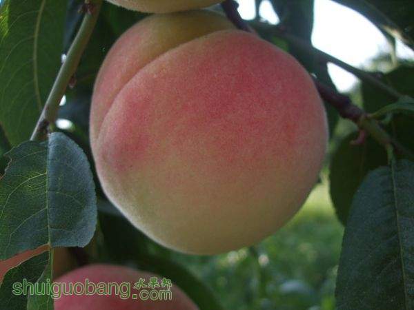 2015��8��29�պ�ɫ֮������Ե���� 002.jpg