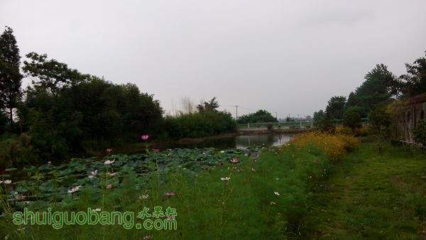 IMG_20150717_120254.jpg