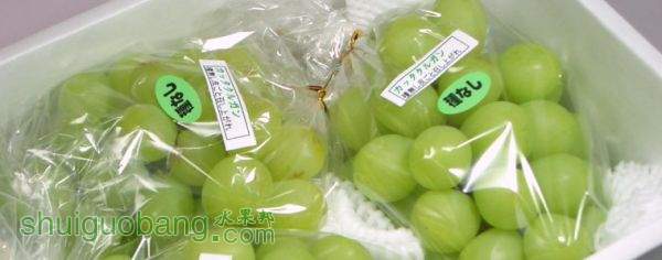 img55476013.jpg