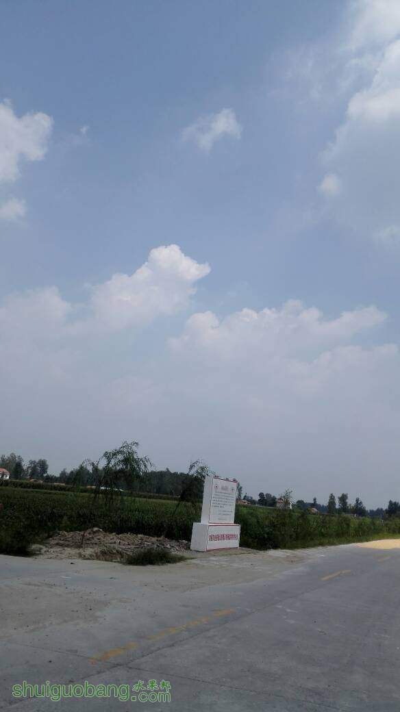 141013vohh7rrdtdz57ztv.jpg