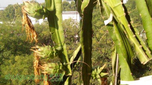 IMG_20150903_085525.jpg