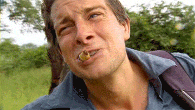 t018791cca5f37400e8.gif