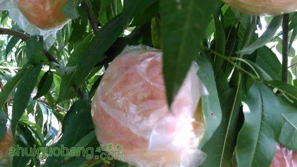 IMG_20150905_122526.jpg