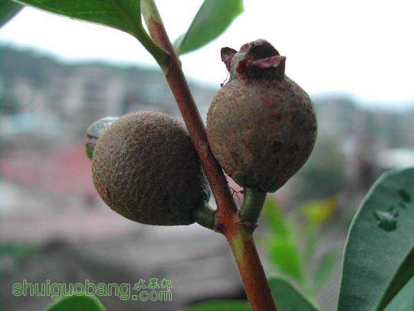 DSCN5572.JPG