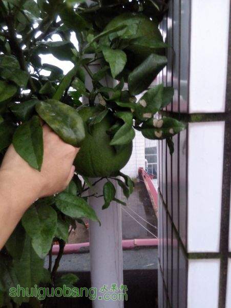 IMG_20150828_182147.jpg
