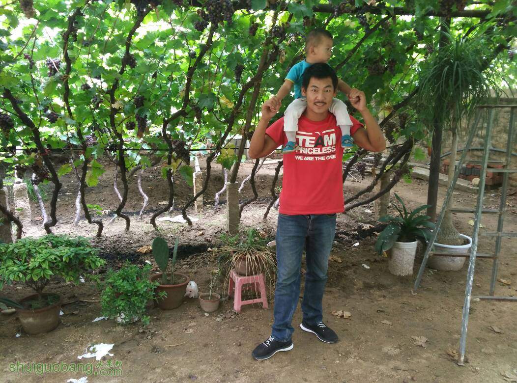 121815guku7v6bz0wu8qfy.jpg