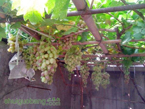IMG_20120228_025324.jpg