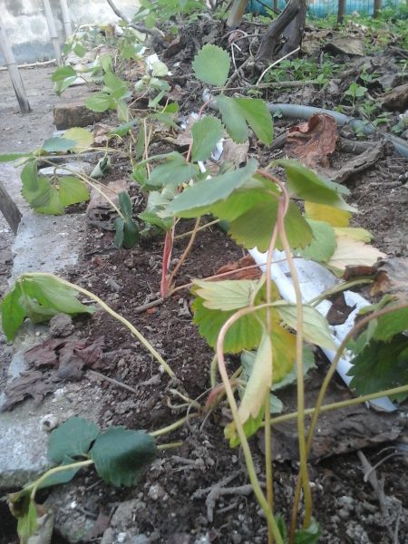 20150909_170704.jpg