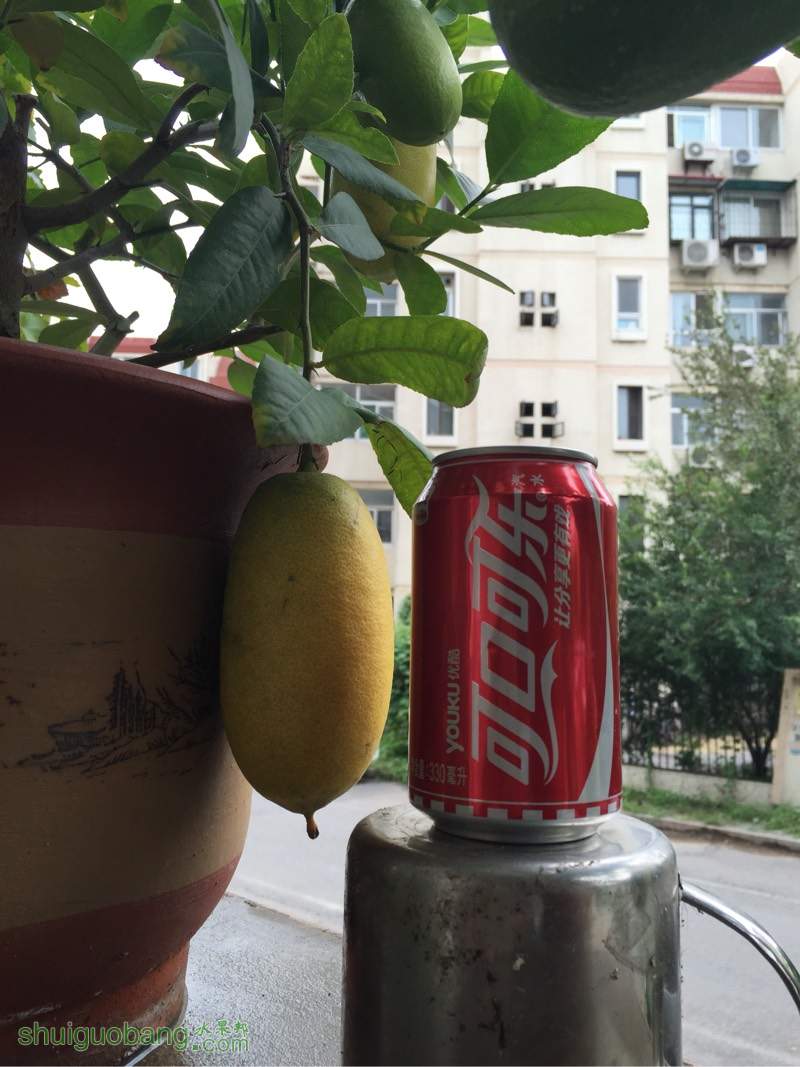 124017wttqtuvp3zluwbf3.jpg