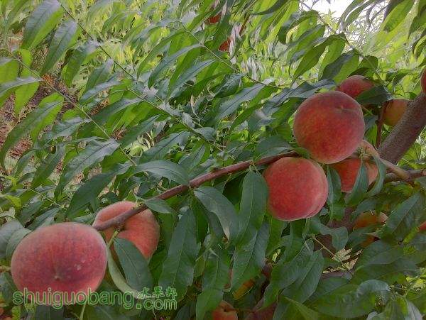 IMG_20150714_155844_HDR.jpg