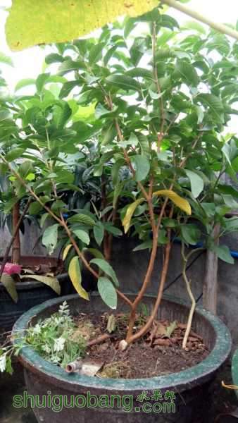 rps20150912_082544.jpg