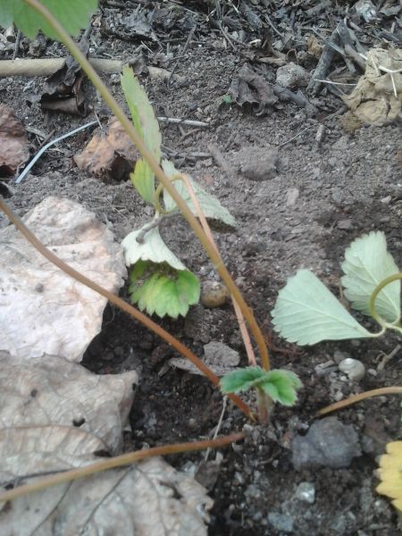 20150909_170746.jpg