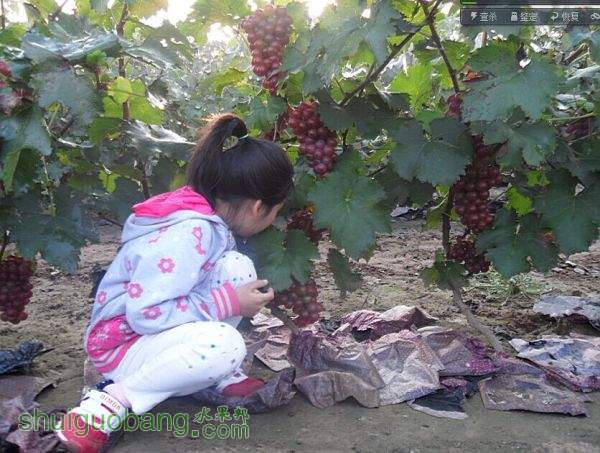 QQͼƬ20150914123802.jpg