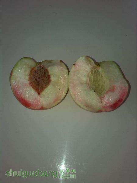 ɳȿ