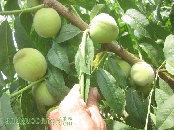 6��7�յ�³��618