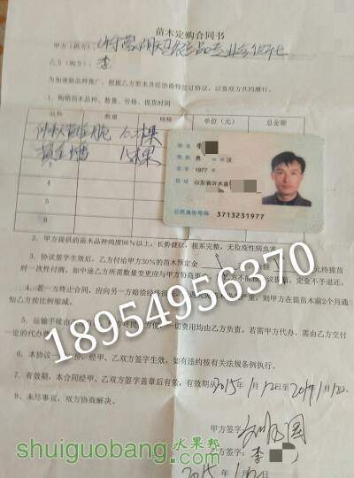 074541yua3pzfgugosmgzo.jpg