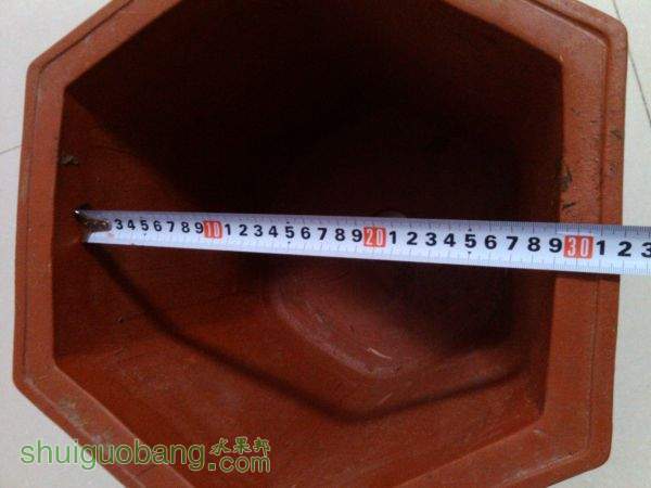 IMG_20150918_175838.jpg
