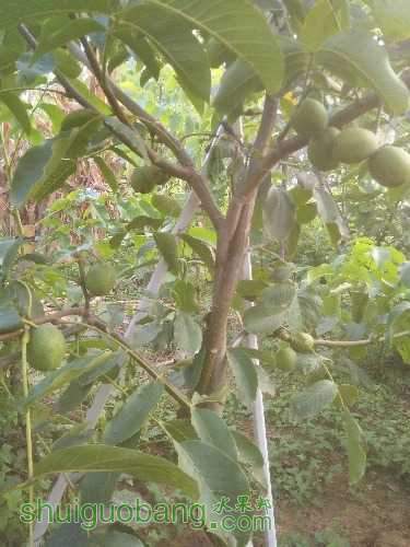 IMG20150919064525.jpg