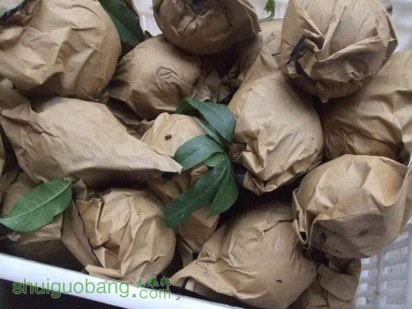 2015��9��19����Ե���� 002.jpg