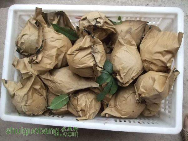 2015��9��19����Ե���� 001.jpg