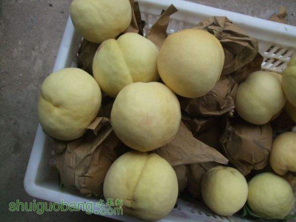 2015��9��19����Ե���� 004.jpg