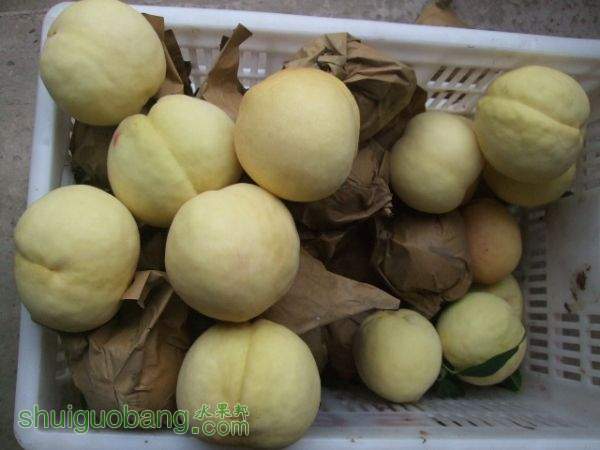 2015��9��19����Ե���� 003.jpg