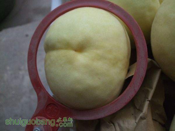 2015��9��19����Ե���� 007.jpg