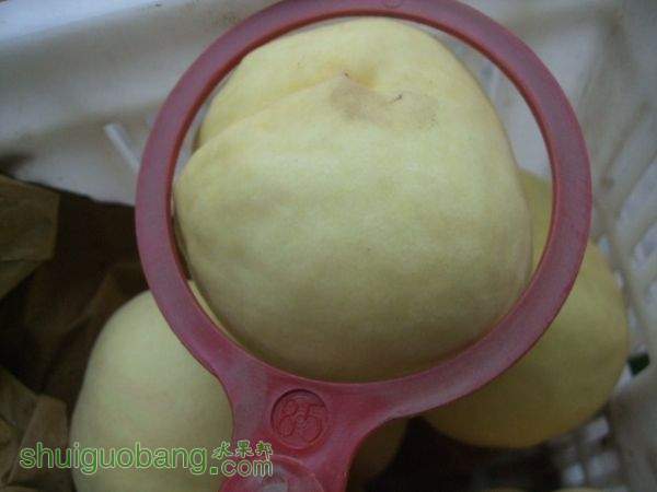 2015��9��19����Ե���� 006.jpg