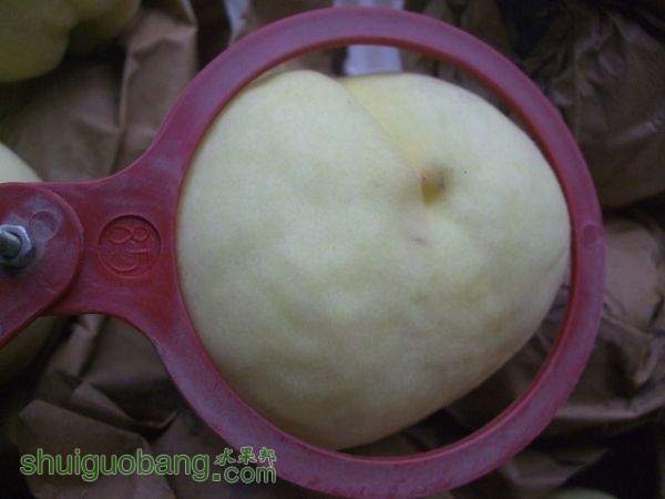 2015��9��19����Ե���� 008.jpg